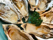 もつ煮 こえど酒場 大福