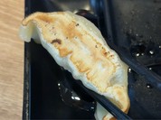 いたってノーマルな餃子です！