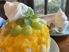 レ・ボ・プロヴァンス