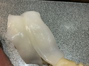 市場ずし 難波店