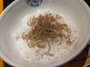 きつね庵
