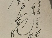 讃岐うどん 今雪