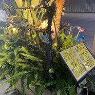 沖縄食堂 てぃんがーら