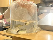 天ぷら割烹 やまもと