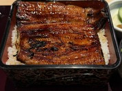 うなぎ すみの坊 本町店