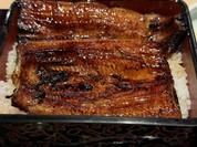 うなぎ すみの坊 本町店