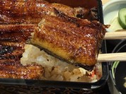 うなぎ すみの坊 本町店