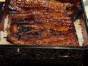 うなぎ すみの坊 本町店