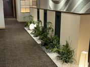 うなぎ すみの坊 本町店