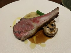 オンダトウキョウ