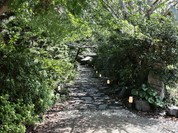 季心 川音