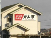 がんぼ道上店