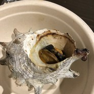 海鮮浜焼きうおひろ 伊丹店