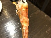 海鮮浜焼きうおひろ 伊丹店