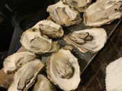 おさしみセンター イチノサン THE OYSTER MANS