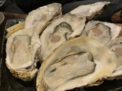 おさしみセンター イチノサン THE OYSTER MANS