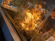 明神丸 ひろめ市場店