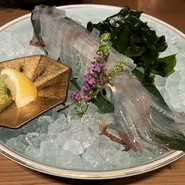 博多もつ鍋　前田屋　総本店