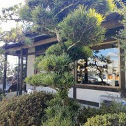 山本屋本店 一宮インター北店