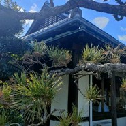 山本屋本店 一宮インター北店