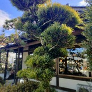 山本屋本店 一宮インター北店