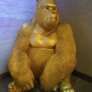 漁師料理 かさい