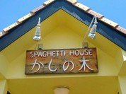 かしの木