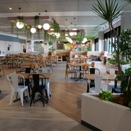 一麺天に通ず 楽々園店