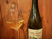 aniko（アニコ）