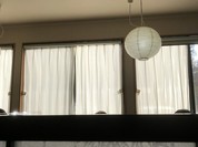 肉そば はくよう