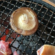 塚原の里