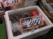 新力水産