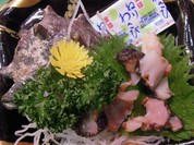 新力水産