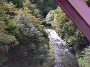 永平寺そば亭 一休