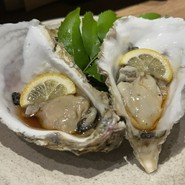 幻の和牛と三崎港直送鮮魚 モルゲン 横浜駅前店