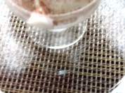 オステリア ヤスダヤ