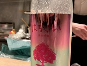 あたごのまつ はるこい