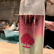 あたごのまつ はるこい