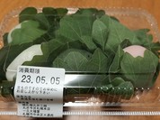 一久 大福堂 札幌丸井今井店