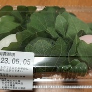 一久 大福堂 札幌丸井今井店