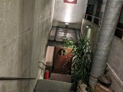アルベロ