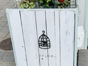 トリコ