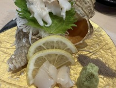 魚男　South