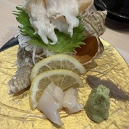 魚男　South
