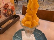 マンゴツリーカフェ 恵比寿