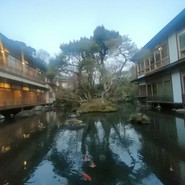 新井旅館