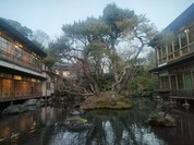 新井旅館