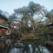 新井旅館