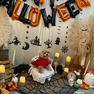 わん!リトルガーデン