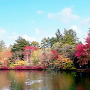 みっふぃー森のべーかりー 軽井沢店